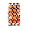 Fresh table Eggs Pack of 15