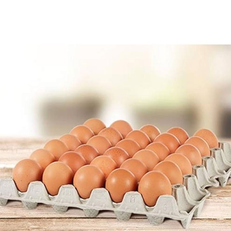 Table Egg Tray 30 pieces