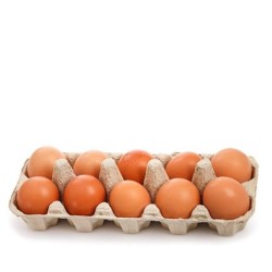 Table Egg Tray 30 pieces